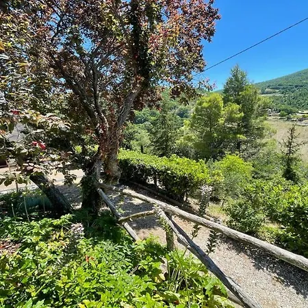 Pool And Detached In Its Own Private Grounds بيت للعطل